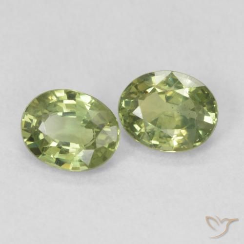 Pedras preciosas de Safira Verde amarelado natural de 0.77 ct, oval, VS
