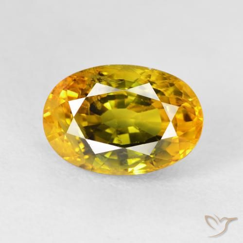 5.95ct Natural ouro escuro Safira, oval, VS