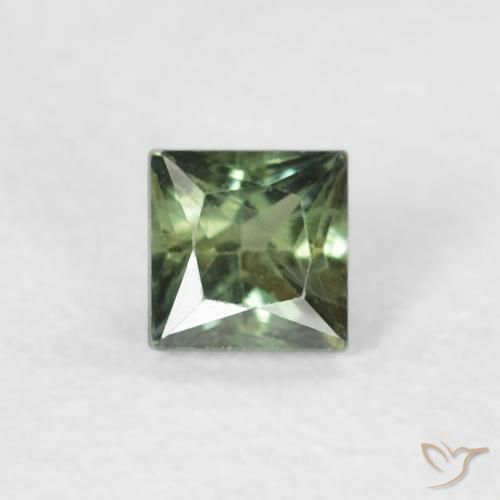 0.24ct Natural Verde escuro Safira, Quadrado, VS