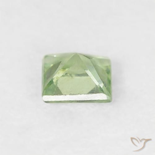 Safira Verde muito claro Natural 0.18ct, Quadrado, VS