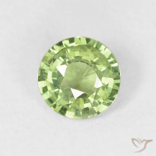 Safira Verde Vivo Claro Natural 0.59ct, Redondo, VS