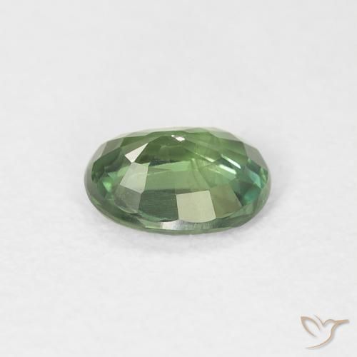 Safira verde escuro Natural 0.70ct, oval, VS