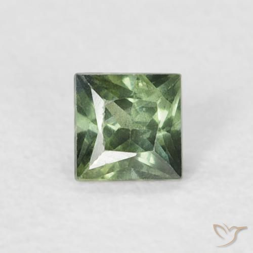 0.21ct Natural Verde Floresta Claro Safira, Quadrado, VS