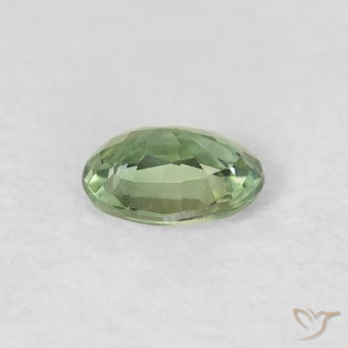 Safira Verde amarelado Natural 0.27ct, oval, VVS-VS