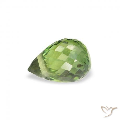 Safira verde escuro Natural 0.71ct, Briolette, VS