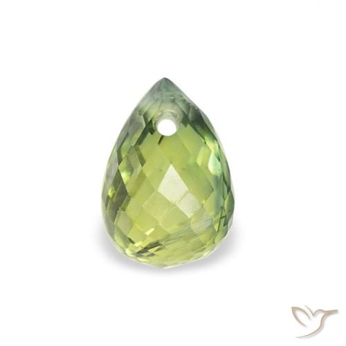 0.59ct Natural Verde oliva Safira, Briolette, VS