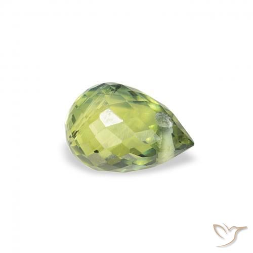 Safira Verde oliva Natural 0.59ct, Briolette, VS
