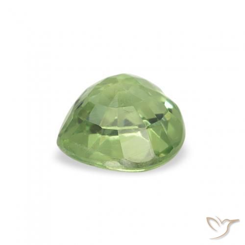 Safira verde quente Natural 0.64ct, Coração, VS
