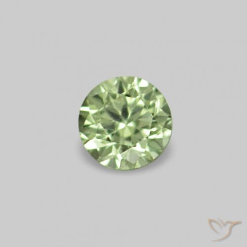 Pedras preciosas de Safira Verde muito claro natural de 2.26 ct, Redondo, VS