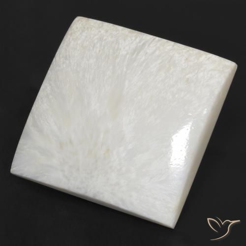 Escolecita Creme branco Natural 79.97ct, Quadrado, Opaco