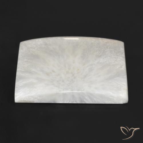 Escolecita Creme branco Natural 79.97ct, Quadrado, Opaco