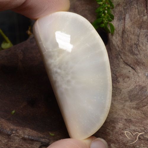 63.74ct Natural Branco Escolecita, Chique, Opaco