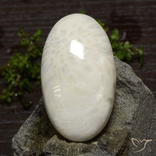 48.61ct Natural branco claro Escolecita, oval, Opaco