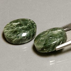 Pedras preciosas de serafinita verde natural de  ct, corte oval, opaco