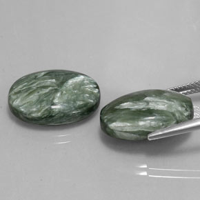 Pedras preciosas de serafinita verde natural de  ct, corte oval, opaco