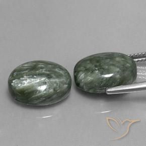 Pedras preciosas de Serafinita Verde médio natural de 12.50 ct, oval, Opaco