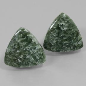 Pedras preciosas de Serafinita Verde Terroso natural de 16.71 ct, Trilhão, Opaco
