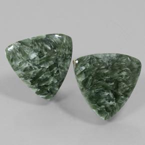 Pedras preciosas de Serafinita Verde Terroso natural de 16.71 ct, Trilhão, Opaco