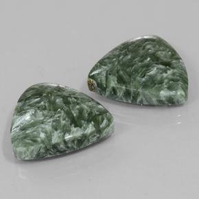 Pedras preciosas de Serafinita Verde Terroso natural de 16.71 ct, Trilhão, Opaco