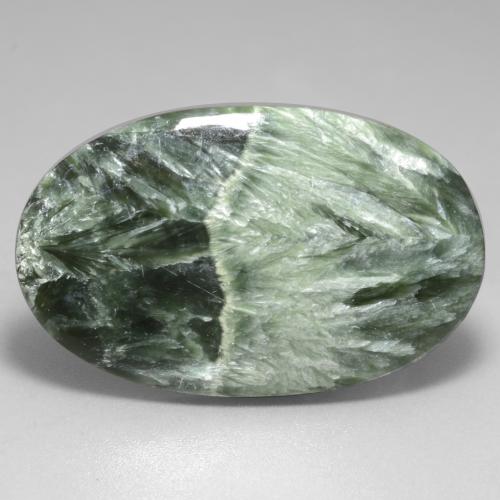 Serafinita Verde médio Natural 29.23ct, Corte Oval, Opaco