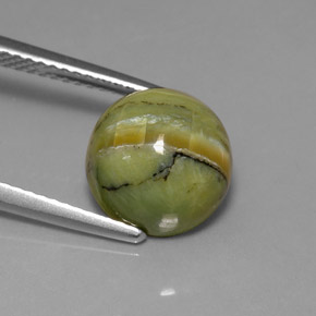 Serpentina verde natural 3,99ct, corte redondo, opaco