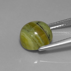 Serpentina verde natural 3,99ct, corte redondo, opaco