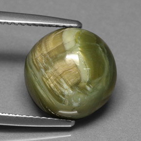 Serpentina verde natural 5,69ct, corte redondo, opaco