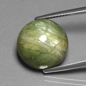 Serpentina verde natural 11,85ct, corte redondo, opaco