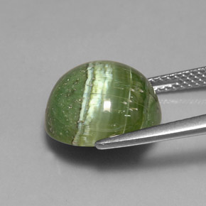 Serpentina verde natural 6,40ct, corte redondo, opaco