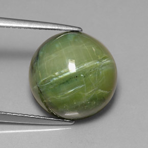Serpentina verde natural 7,64ct, corte redondo, opaco