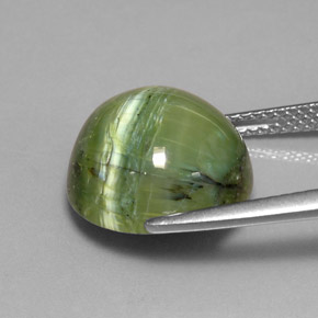 Serpentina verde natural 7,64ct, corte redondo, opaco