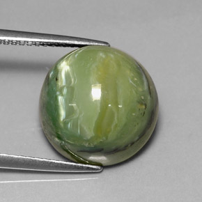 Serpentina verde natural 8,26ct, corte redondo, opaco