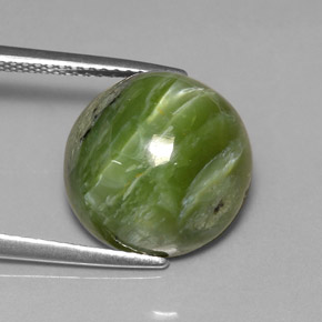 Serpentina verde natural 7,28ct, corte redondo, opaco