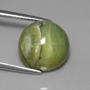 Serpentina verde natural 7,23ct, corte redondo, opaco