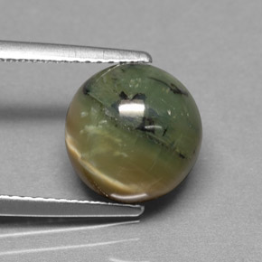 Serpentina verde natural 3,63ct, corte redondo, opaco