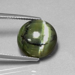 Serpentina verde natural 7,53ct, corte redondo, opaco