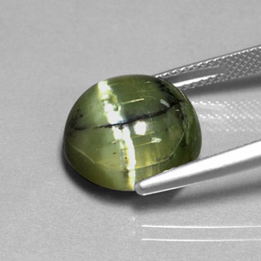 Serpentina verde natural 7,53ct, corte redondo, opaco