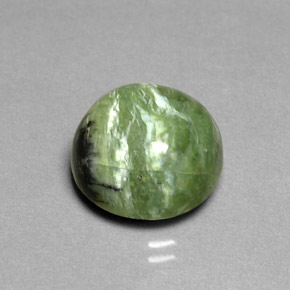 Serpentina verde natural 7,91ct, corte redondo, opaco
