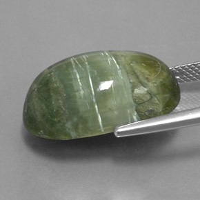 Serpentina verde natural 14,20ct, corte oval, opaco