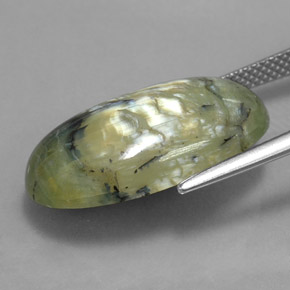 Serpentina verde natural 9,95ct, corte oval, opaco