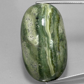 Serpentina verde natural 49,97ct, corte oval, opaco