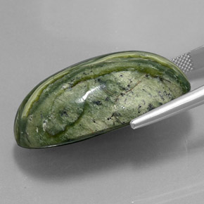 Serpentina verde natural 49,97ct, corte oval, opaco