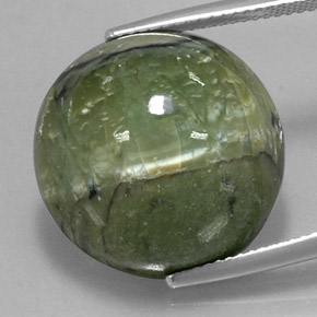 Serpentina verde natural 20,97ct, corte redondo, opaco