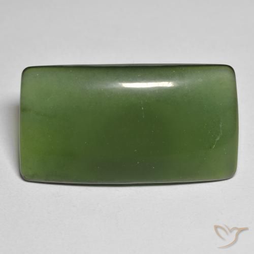 25.58ct Natural Verde escuro Serpentina, Almofada, Translúcido