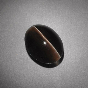 Sillimanite cat's eye marrom natural 4,54ct, transparente, transparente/translúcido