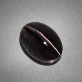 Sillimanite cat's eye cinza natural 4,45ct, transparente, transparente/translúcido