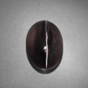 Sillimanite cat's eye cinza natural 4,45ct, transparente, transparente/translúcido