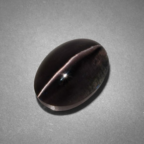 Sillimanite cat's eye cinza natural 4,45ct, transparente, transparente/translúcido