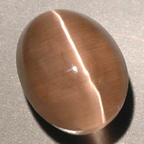Sillimanite cat's eye marrom natural 3,56ct, transparente, transparente/translúcido