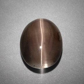 Sillimanite cat's eye cinza natural 4,25ct, transparente, transparente/translúcido